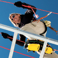 Billi Bierling (@billibierling) 's Twitter Profile