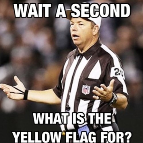 The Funniest Referees in the World