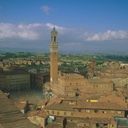 Cynthia Patton - @CPatton03 - Twitter