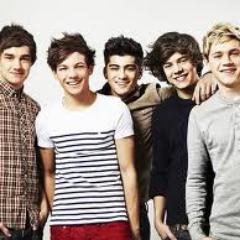 Duas garotas directioners, que levam a vida e não param um minuto de pensar nos minos.