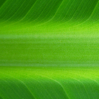 TheThriveCollective (@thrivecollectiv) 's Twitter Profile