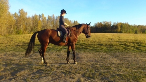 SonjaRoes's profile picture. 