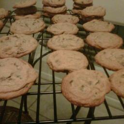 Katie Darlin' Bakery will soon be open for business! My simple treats are simply delicious -- I know you'll agree.