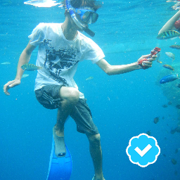 chelsnino's profile picture. The Bluesss