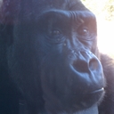 Jim Dickinson - @Dickinson5Jim - Twitter