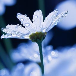 PeggyBliven's profile picture. Christian, married, mom & gramma - finally paying attention to politics later in life.