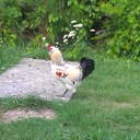 Brad Ramey - @bcr2117 - Twitter