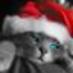 ElQuePica (@luisetze) Twitter profile photo