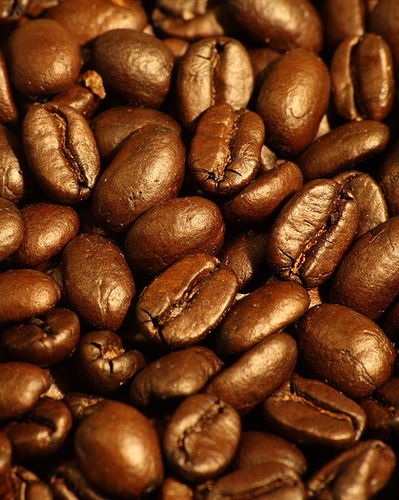 coffee expert