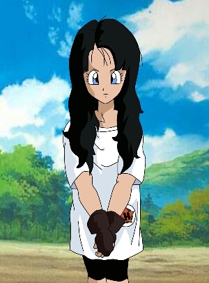 Hiya! Videl Satan here! Here to kick and fight,crimes! I maybe be a girl but im stronger then you think.