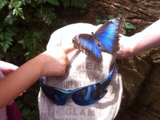 Gmcclaw's profile picture. 