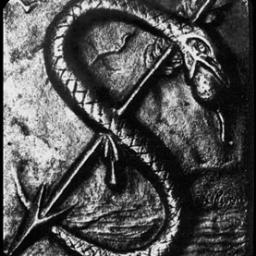 Sandalphon_Msc's profile picture. sprout from nothing/everything!!