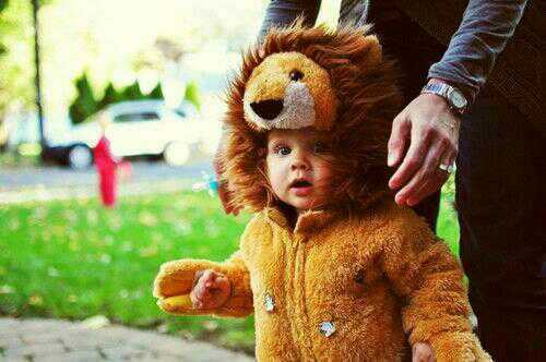het beste foto account ,, mn tweets zijn retweetbaar ,, ☆☆☆☆☆ sterren account™