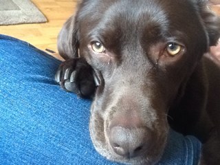 claire_bidwell's profile picture. It's me, what more is there to know!