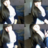 nastyaaa015's profile image
