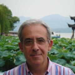 Afiliado a @PPopular. Catedrático de Matemática Aplicada hasta octubre de 2019 y ahora Jubilado.