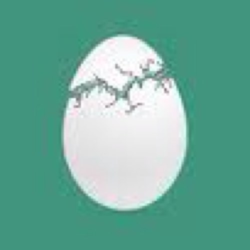 FunnyKiwi's profile picture. Super funnypics, Created by @jakrenni