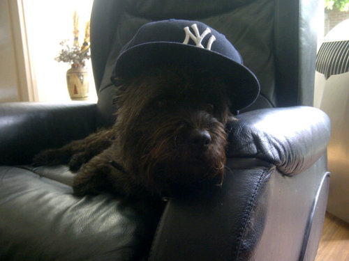 michmitxkropka's profile picture. 