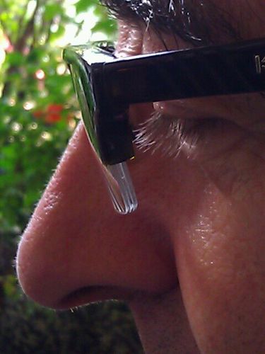 Scipy1's profile picture. 