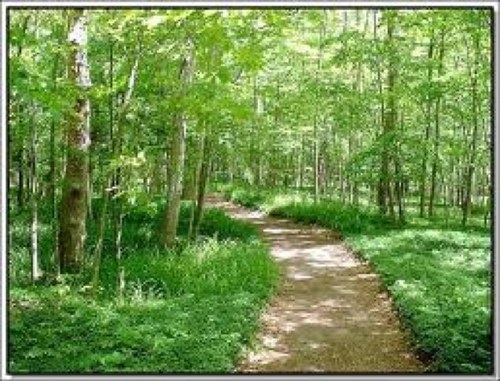 30_mooj's profile picture. 