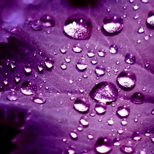 Chester4545's profile picture. 