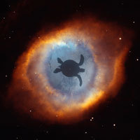 jim_findley's profile picture. 