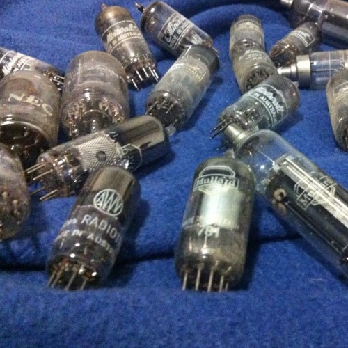 dhobsonics's profile picture. 