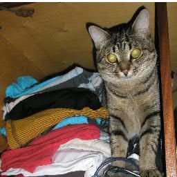 Kebal4's profile picture. 