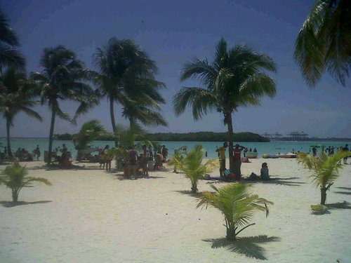 del0003we's profile picture. 