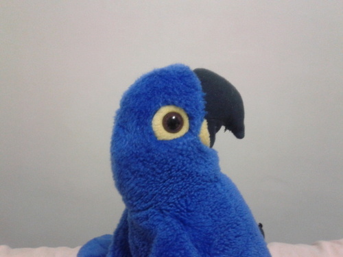 Blue.executerさんのプロフィール画像