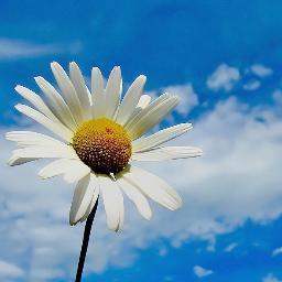 Biotech, Life Science, Social Impact & entrepreneurship - Life Science Engineer @AgroParisTech.