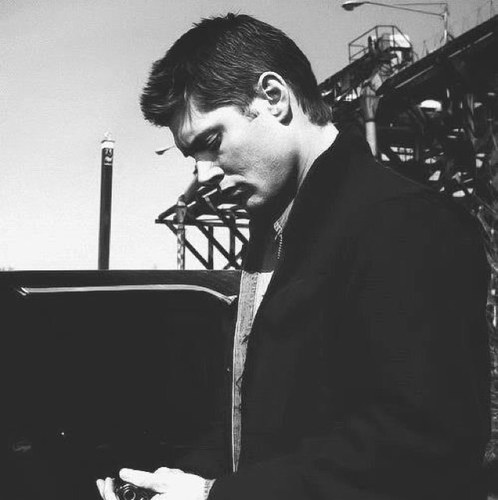 lauren1D_Kat's profile picture. One Direction. The Vampire Diaries. Supernatural. Justin Bieber. 
HURRY UP SEASON 8 OF SPN.
WE NEED YOU.