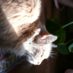 Dennis Arkhangelski (@arch_bacchus) Twitter profile photo Dennis Arkhangelski (@arch_bacchus) Twitter profile photo
