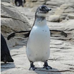 lilredhsb2's profile picture. 