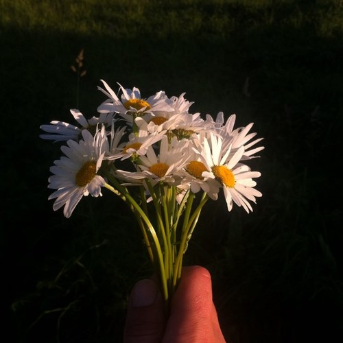 smoxer83's profile picture. ЮБУ ЮБИТЬ ЮБА