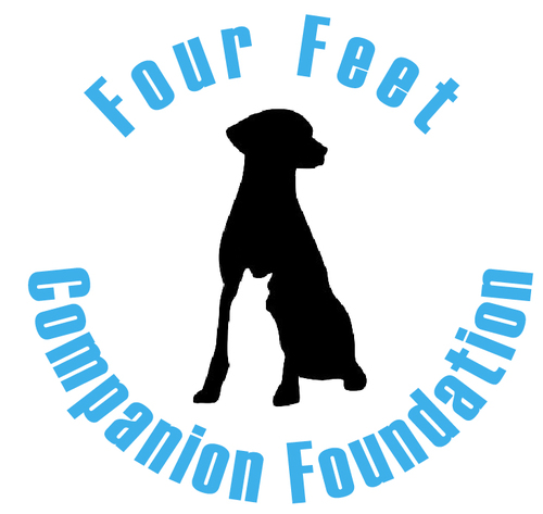 4FeetFoundation Profile Picture