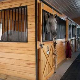 ljm_qtpie's profile picture. 