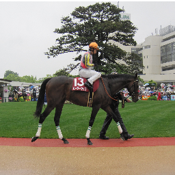 ゲームや競馬中心に。自己満足なつぶやき、メモ帳。