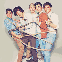 waiting for the day Harry,Louis,Liam tweet me or follow me or just notice me.....Niall follwed and  Zayn tweeted me on 29 September 2012 :D