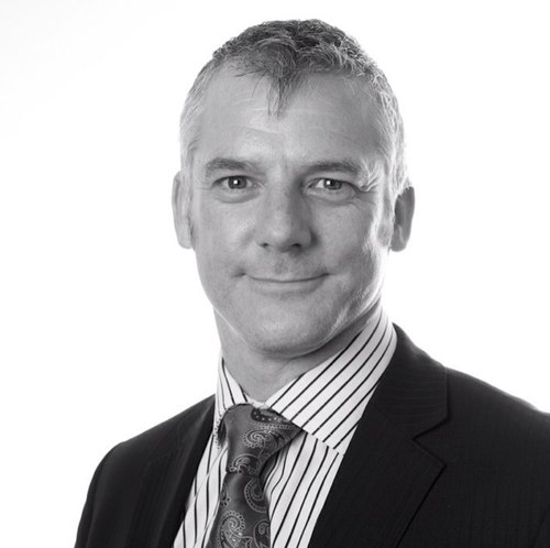 Business Intelligence Professional
