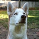 Michael Berg - @mtberg2 - Twitter