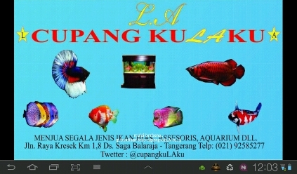 menjual segala jenis ikan hias tawar, assesoris dan akuarium..
