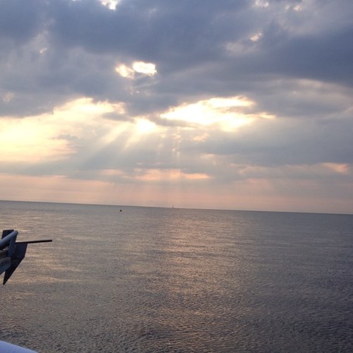 WormStew's profile picture. 