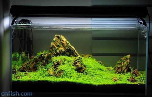 xinghen119's profile picture. 立志成为一个网络段子手。对事物不粉不黑，但是看不得脑残和歪屁股，忍不住会怼一下。