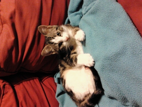 Valentin_ELD's profile picture. je m'apelle valentin j'habite perpignan . #antiFolow4Folow