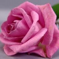 Muna_alsuwaidi1 (@munaalsuwaidi1) 's Twitter Profile