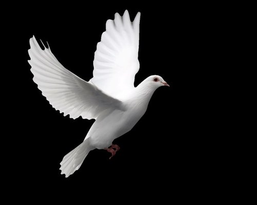 Forgiveness has a double benefit: You feel stronger for being the better person, and those who have wronged you feel better knowing that you have been able to f