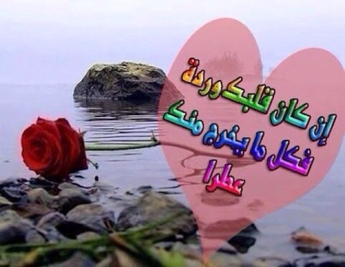 ليتك معي ساهر ليل الهوى . . كله ♡