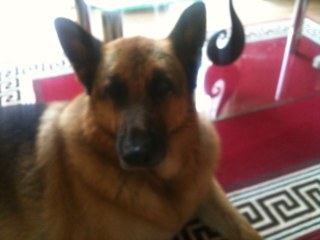 JoanneLaight's profile picture. 