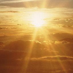 buddhaclown's profile picture. 